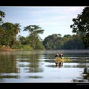 Amérique centrale - La faune